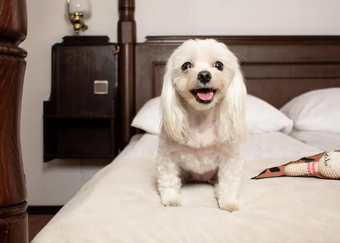 Dwor Polski 호텔 4*