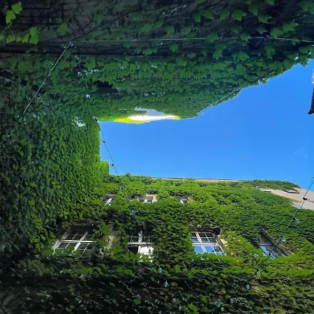 ドヴォル ポルスキ 4*