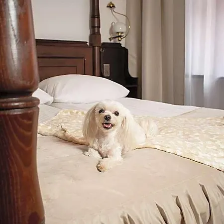 Dwor Polski Hotell 4*