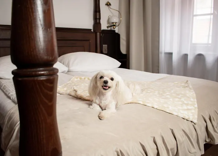 فندق Dwor Polski 4*